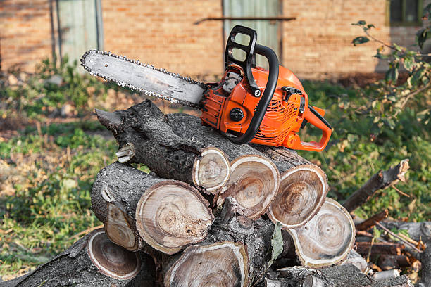 Tree Removal for Businesses in Rowland, NC